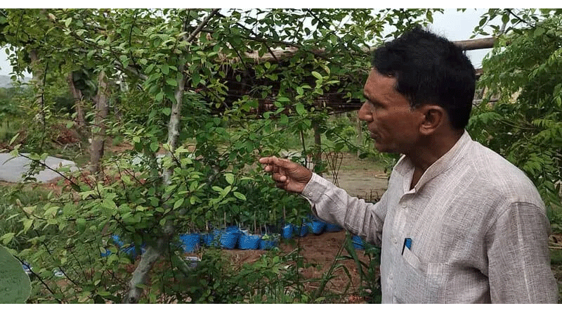 కార్పొరేట్ ఎగ్జిక్యూటివ్ నుంచి మూలికా సాగుకు…