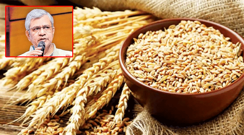 గోధుమలు, పప్పు దినుసుల కనీస మద్దతు ధరను పెంచిన కేంద్ర ప్రభుత్వం